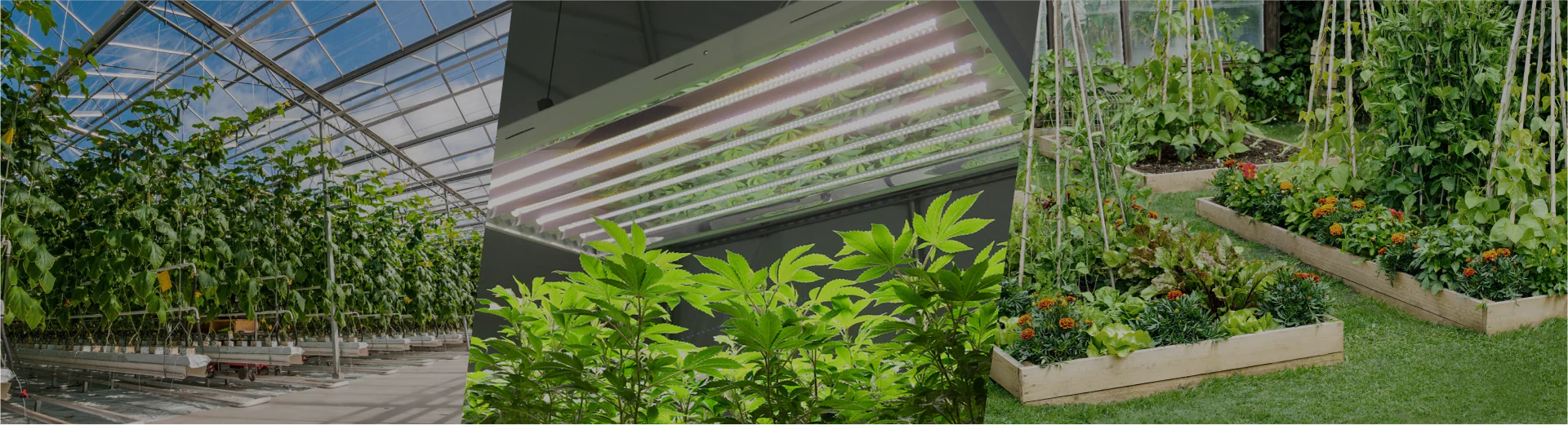 Cultivate Your Signature Style